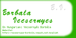 borbala vecsernyes business card